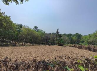 Residential Land, Kottayam
