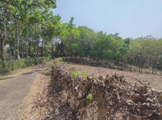 Residential Land for Sale in Kottayam, Changanassery, Mammoodu, Near WME Eben Ezer Church, Devampady, Mammood, Kottayam