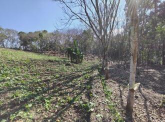 Residential Land for Sale in Kottayam, Changanassery, Mammoodu, Near WME Eben Ezer Church, Devampady, Mammood, Kottayam