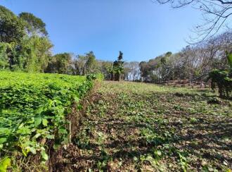 Residential Land for Sale in Kottayam, Changanassery, Mammoodu, Near WME Eben Ezer Church, Devampady, Mammood, Kottayam