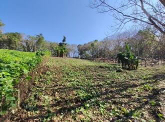 Residential Land for Sale in Kottayam, Changanassery, Mammoodu, Near WME Eben Ezer Church, Devampady, Mammood, Kottayam