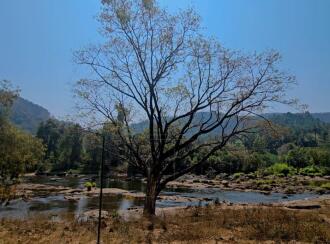 Commercial Land for SaleThrissur, Chalakudy, Athirapilly