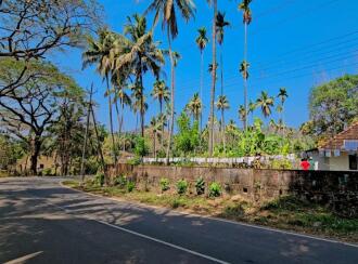 Commercial Land for Sale in Thrissur, Chalakudy, Athirapilly, Near Silverstroam Park
