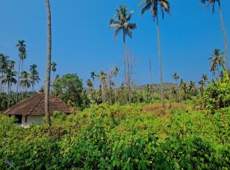 Commercial Land for Sale in Thrissur, Chalakudy, Athirapilly, Near Silverstroam Park