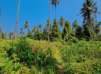 Commercial Land for Sale in Thrissur, Chalakudy, Athirapilly, Near Silverstroam Park