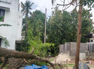 Residential Land for Sale in Thrissur, Amala nagar, Adat