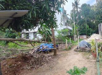 Residential Land for Sale in Thrissur, Amala nagar, Adat