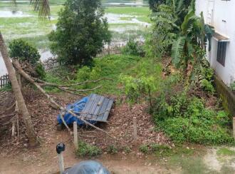 Residential Land for Sale in Thrissur, Amala nagar, Adat