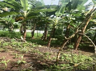 Residential Land for Sale in Kottayam, Kottayam town, Chingavanam