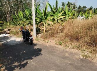 Residential Land for Sale in Ernakulam, Mulanthuruthy, Mulanthuruthy, Mulanthuruthy karottekurz