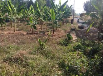 Residential Land for Sale in Ernakulam, Mulanthuruthy, Mulanthuruthy, Mulanthuruthy karottekurz