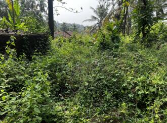 Commercial Land for Sale in Kozhikode, Chevayoor, Chevayoor, Chevayur