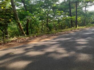 Residential Land for Sale in Kottayam, Kaduthuruthy, Arunoottimangalam