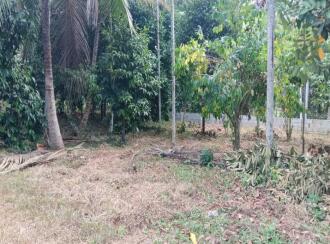Commercial Land for Sale in Pathanamthitta, Konni, Konni