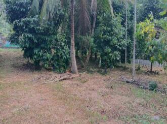 Commercial Land for Sale in Pathanamthitta, Konni, Konni