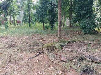 Commercial Land for Sale in Pathanamthitta, Konni, Konni