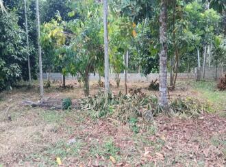 Commercial Land for Sale in Pathanamthitta, Konni, Konni