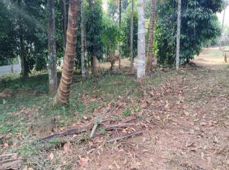 Commercial Land for Sale in Pathanamthitta, Konni, Konni