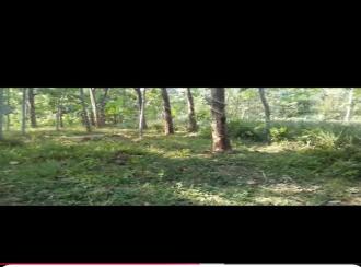 കൃഷി ഭൂമി വില്പനയ്ക്ക് എറണാകുളം, Muvattupuzha, Arakuzha