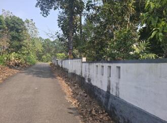Residential Land for Sale in Ernakulam, Kothamangalam, Pindimana, pindimana padammaly road