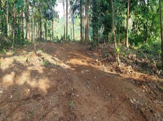 Residential Land for SaleThrissur, Chalakudy, Vettilappara