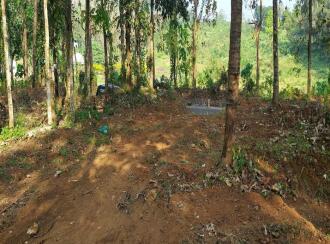 Residential Land for Sale in Thrissur, Chalakudy, Vettilappara, Near green land resort