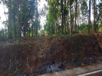 Residential Land for Sale in Thrissur, Chalakudy, Vettilappara, Near green land resort