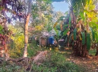 Residential Land for Sale in Ernakulam, Piravom, Piravom, 0.50Km from govt. Hospital Piravom - palachuvadu