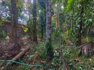 Residential Land for Sale in Ernakulam, Piravom, Piravom, 0.50Km from govt. Hospital Piravom - palachuvadu