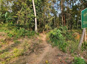 Residential Land for Sale in Trivandrum, Varkala, Varkala, Vettoor Village, Nedunganda