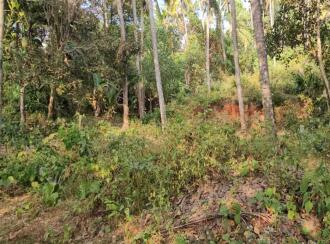 Residential Land for Sale in Trivandrum, Varkala, Varkala, Vettoor Village, Nedunganda