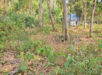 Residential Land for Sale in Trivandrum, Varkala, Varkala, Vettoor Village, Nedunganda