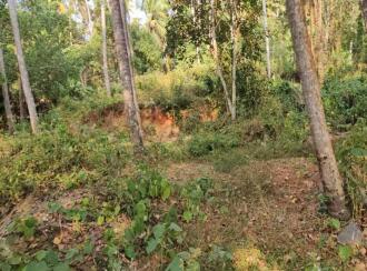 Residential Land for Sale in Trivandrum, Varkala, Varkala, Vettoor Village, Nedunganda