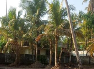 Residential Land for Sale in Alleppey, Cherthala, Cherthala town, Manorama Junction