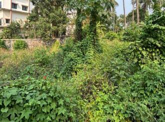 Residential Land for Sale in Kozhikode, Kozhikode, Chathamangalam, Kattangal