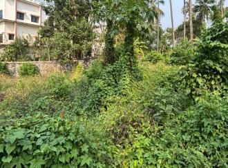 Residential Land for Sale in Kozhikode, Kozhikode, Chathamangalam, Kattangal