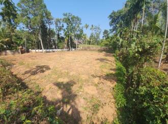 Residential Land for Sale in Kottayam, Kaduthuruthy, Muttuchira, Near by Muttichira Kottayam