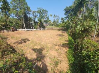 Residential Land for Sale in Kottayam, Kaduthuruthy, Muttuchira, Near by Muttichira Kottayam