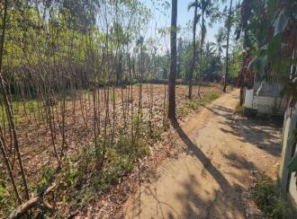 Residential Land for Sale in Kottayam, Kaduthuruthy, Muttuchira, Near by Muttichira Kottayam