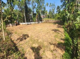 Residential Land for Sale in Kottayam, Kaduthuruthy, Muttuchira, Near by Muttichira Kottayam