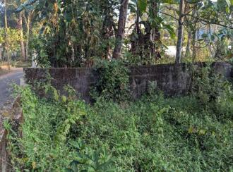 Residential Land for Sale in Kottayam, Thalayolaparambu, Vettikkattumukku, Housing board colony vettikkattumukku