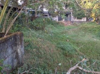 Residential Land for Sale in Kottayam, Thalayolaparambu, Vettikkattumukku, Housing board colony vettikkattumukku