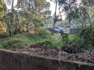 Residential Land for Sale in Kottayam, Thalayolaparambu, Vettikkattumukku, Housing board colony vettikkattumukku