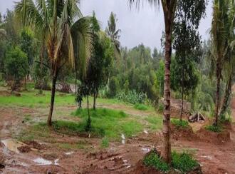 വാസയോഗ്യമായ ഭൂമി വില്പനയ്ക്ക് Trivandrum, Thiruvananthapuram, Pappanamcode, Sathian nagar Industrial estate