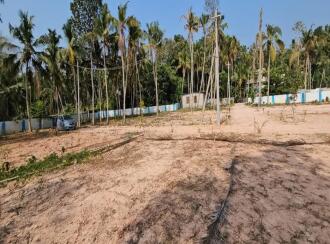 Residential Land for Sale in Trivandrum, Kazhakoottam, Vetturoad junction, alan feldman public school