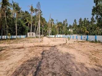 Residential Land for Sale in Trivandrum, Kazhakoottam, Vetturoad junction, alan feldman public school