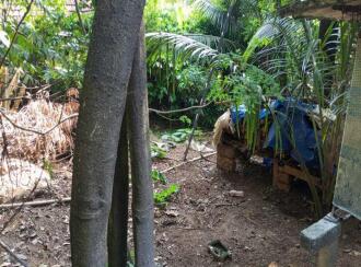 Residential House Villa for Sale in Palakkad, Karimba, Edakurissi, kaliyode vadakkekkara