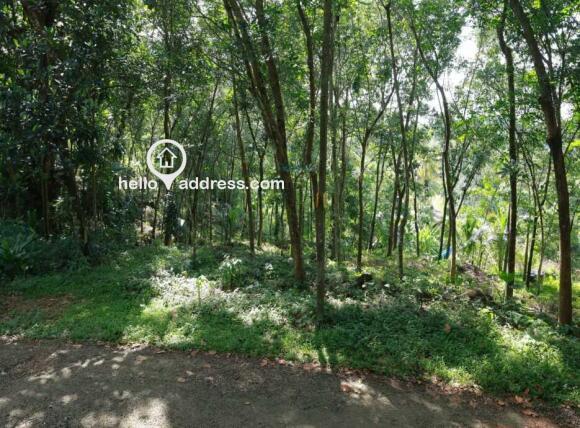 Agricultural Land for Sale