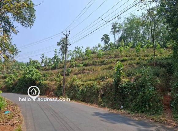 Agricultural Land for Sale