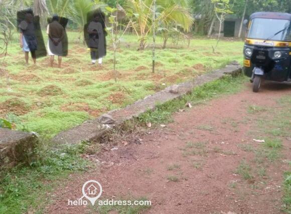 Plot entry ( now concrete road)